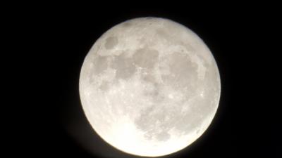 1500_5d225a12abc39fc41594e13e7.jpg